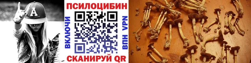 Псилоцибиновые грибы Magic Shrooms  наркошоп  Агрыз 